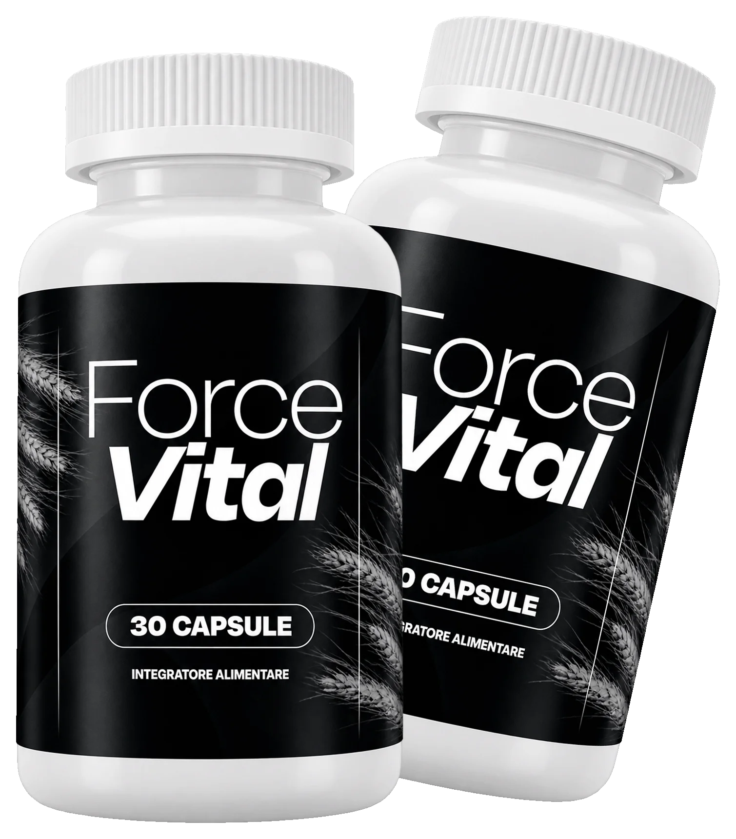ForceVital